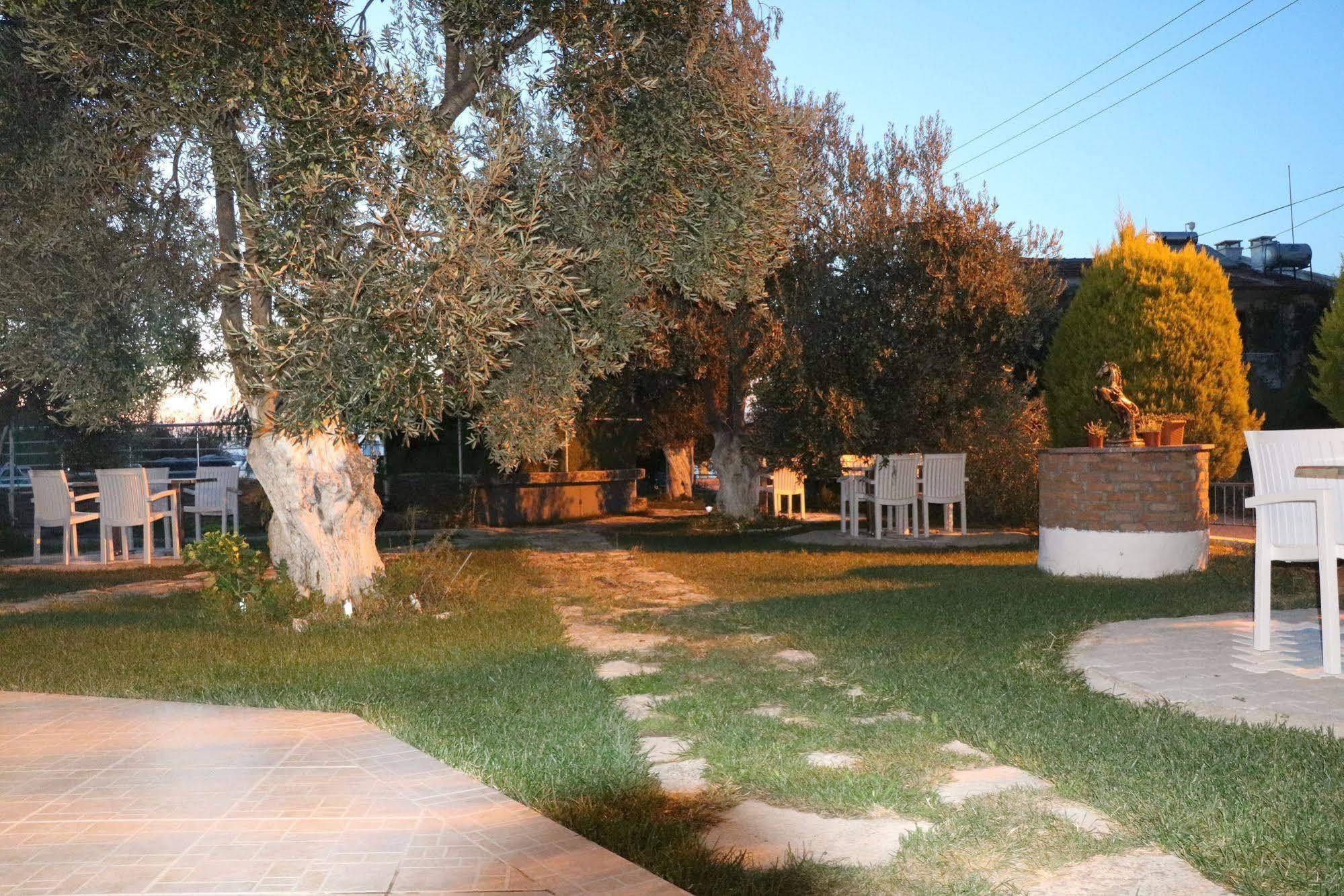 Ege Apart & Hotel Ayvalı المظهر الخارجي الصورة